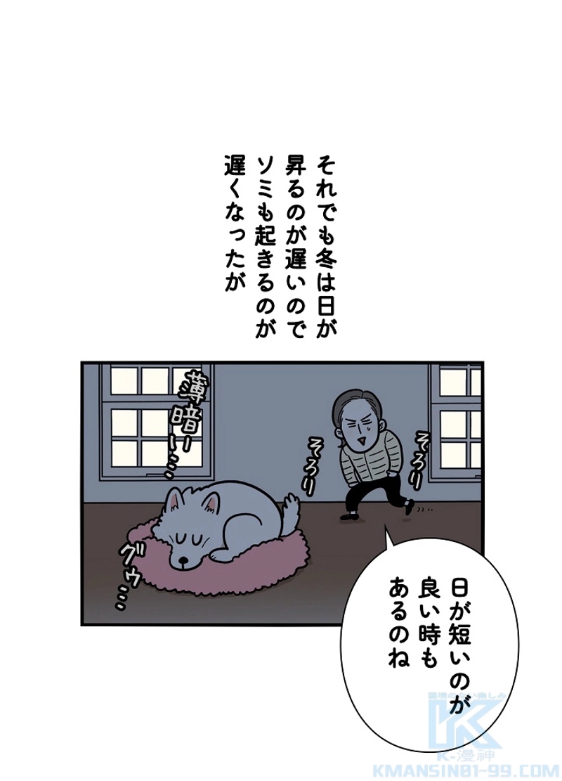 愛犬ソミとの極限ライフ 第27話 - Page 19
