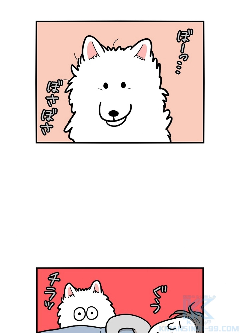 愛犬ソミとの極限ライフ 第27話 - Page 34