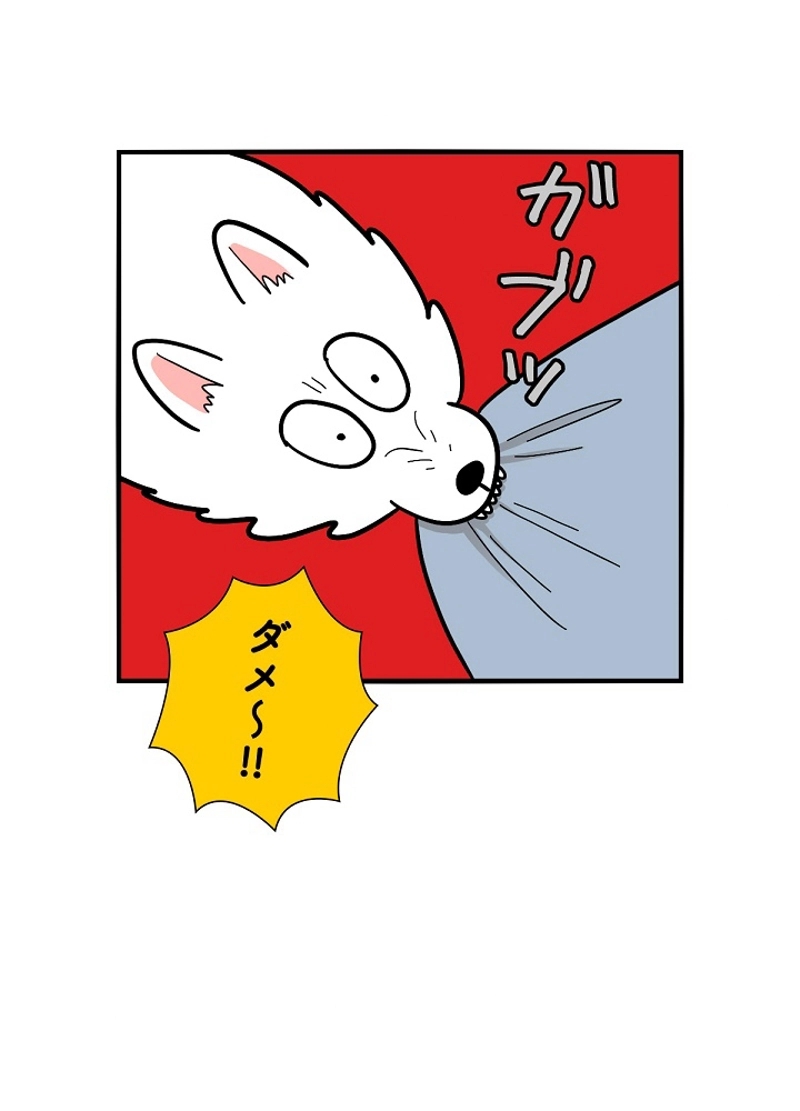愛犬ソミとの極限ライフ 第27話 - Page 27