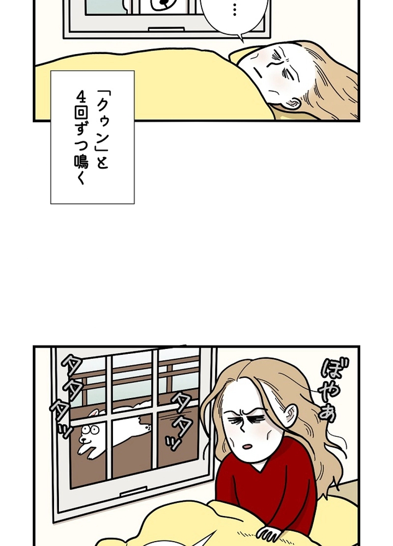 愛犬ソミとの極限ライフ 第27話 - Page 12