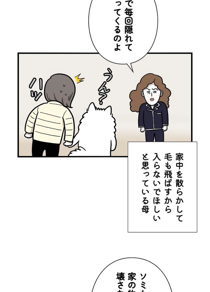 愛犬ソミとの極限ライフ 第27話 - Page 21