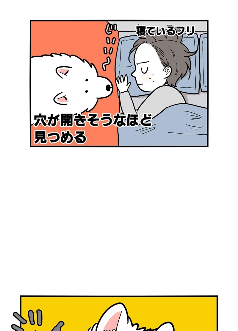 愛犬ソミとの極限ライフ 第27話 - Page 44