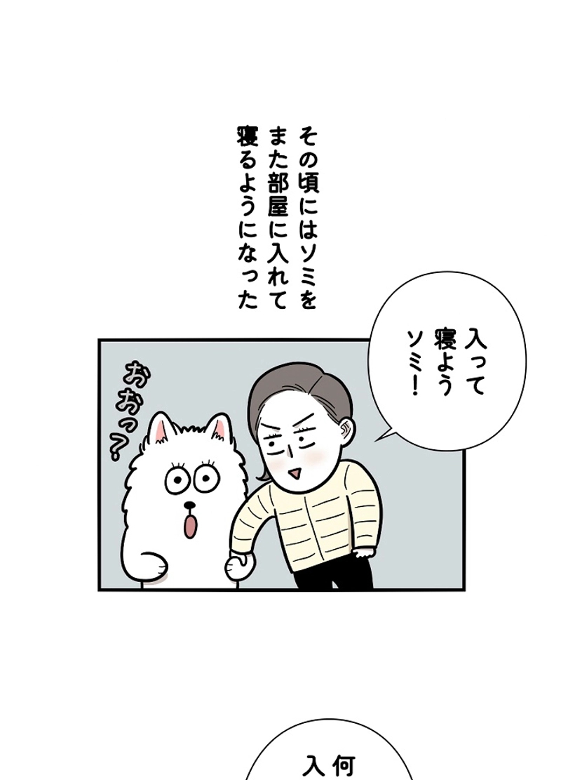愛犬ソミとの極限ライフ 第27話 - Page 20