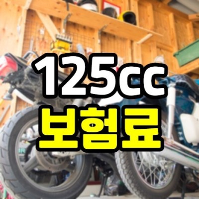 125cc 오토바이 보험료 비싸지만 절약하는 방법