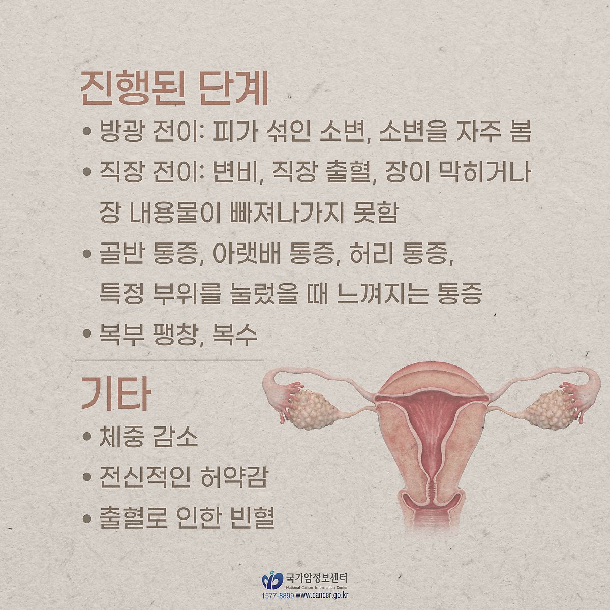 자궁내막암, 단계별로 나타나는 증상이 있다? #자궁암
