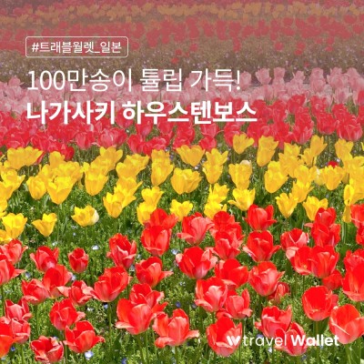 아직도 일본에서 벚꽃만?  100만 튤립 가득! 하우스 텐 보스