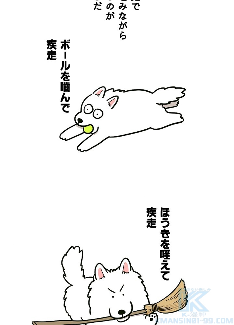 愛犬ソミとの極限ライフ 第36話 - Page 22
