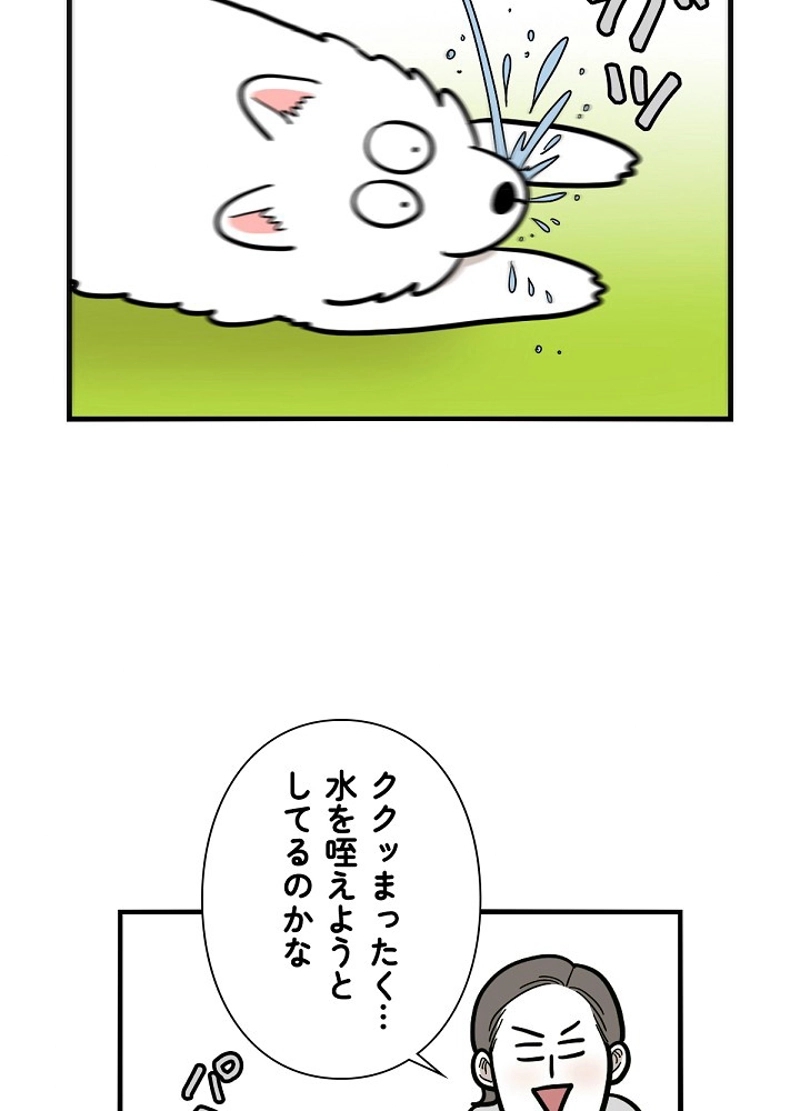 愛犬ソミとの極限ライフ 第36話 - Page 30