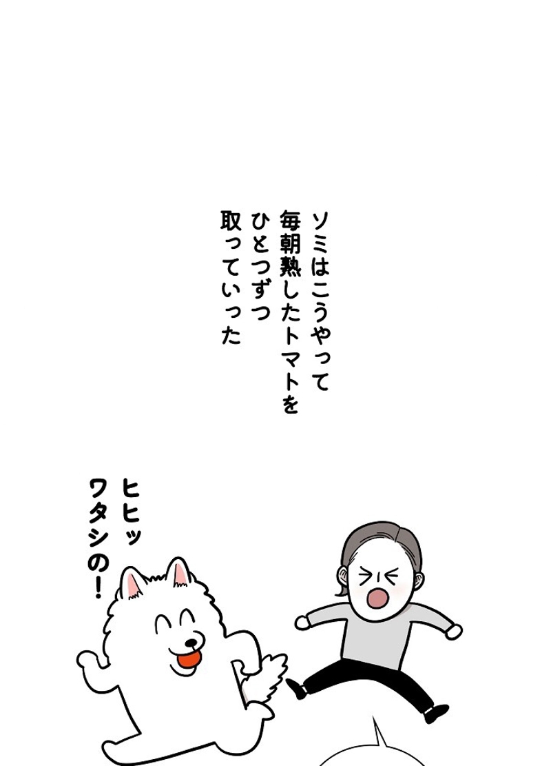 愛犬ソミとの極限ライフ 第36話 - Page 53