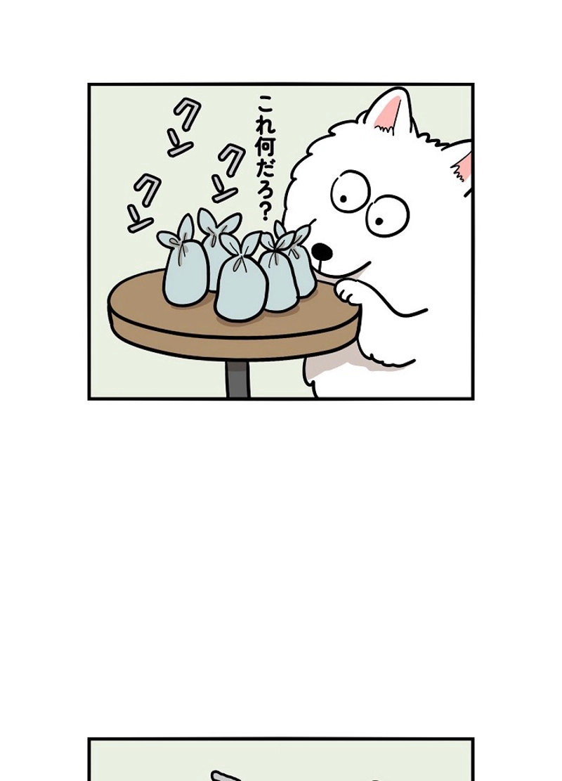 愛犬ソミとの極限ライフ 第36話 - Page 8