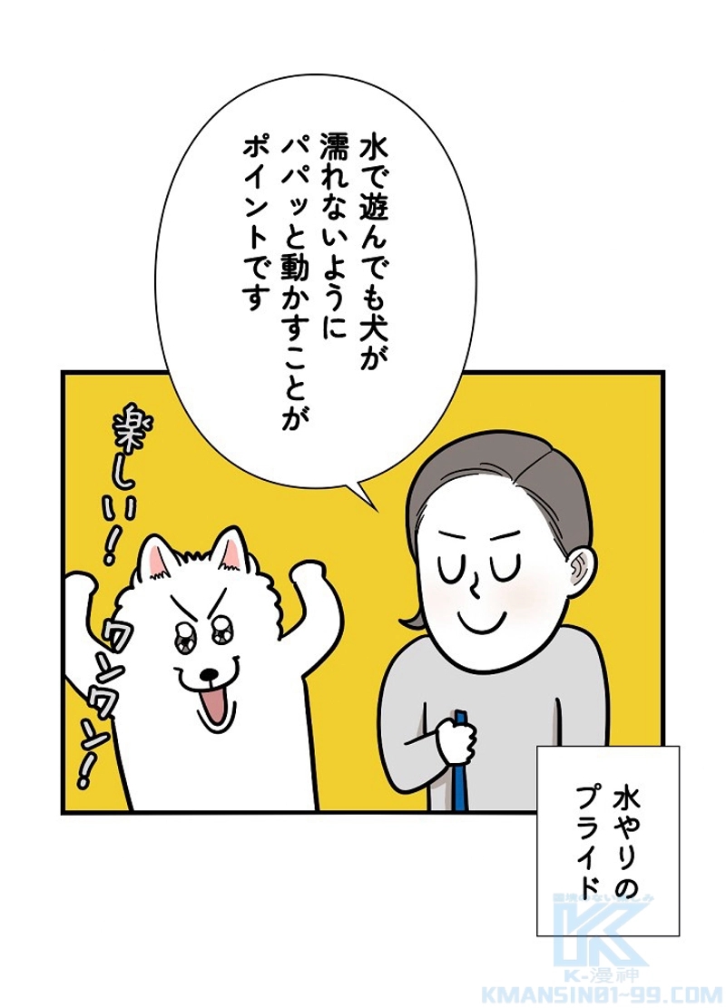 愛犬ソミとの極限ライフ 第36話 - Page 43