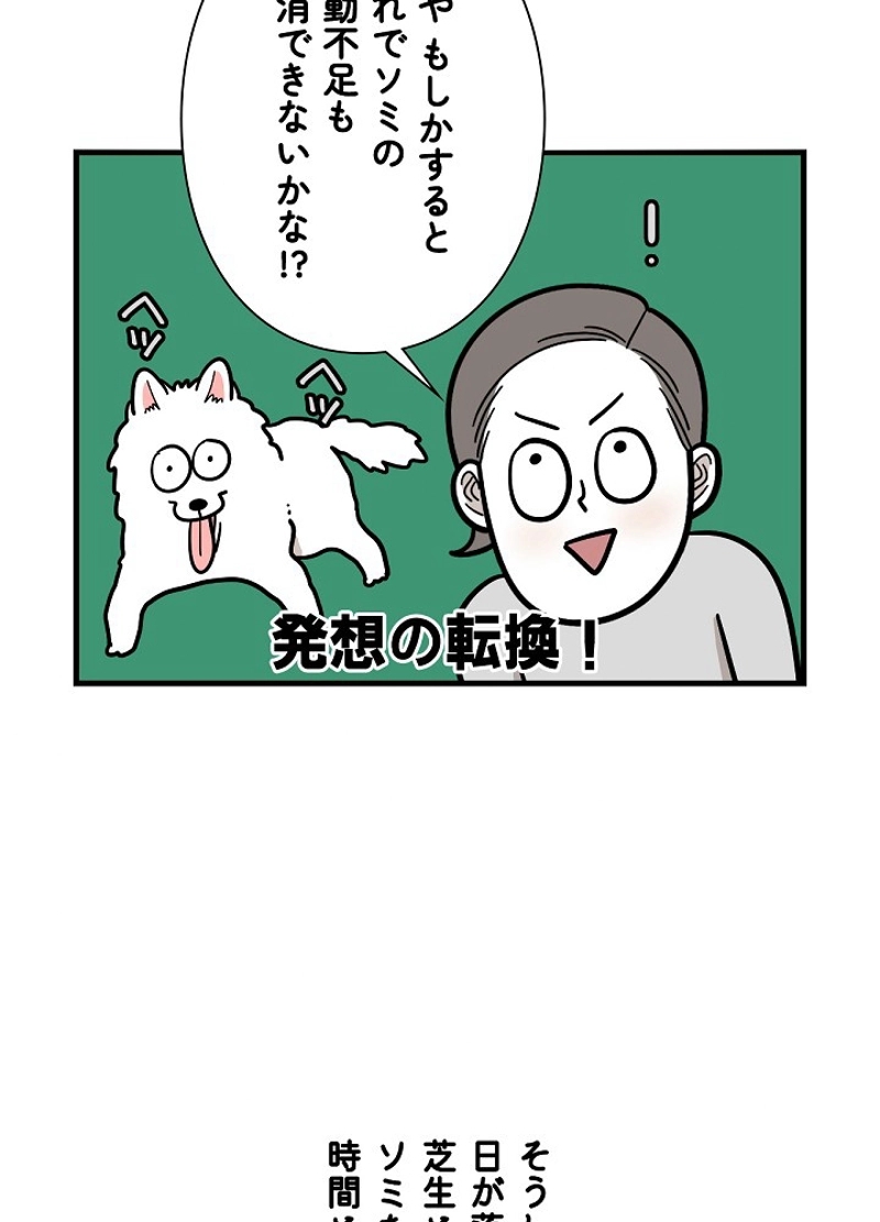 愛犬ソミとの極限ライフ 第36話 - Page 41