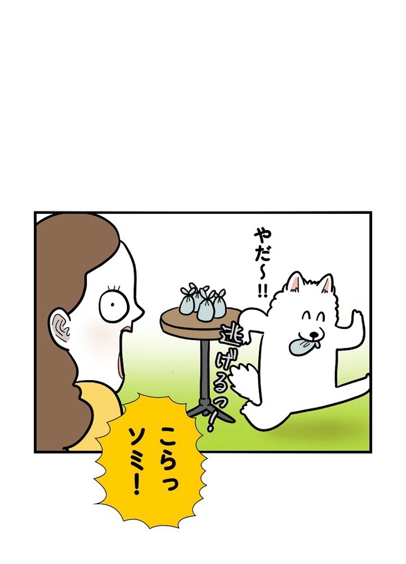 愛犬ソミとの極限ライフ 第36話 - Page 12