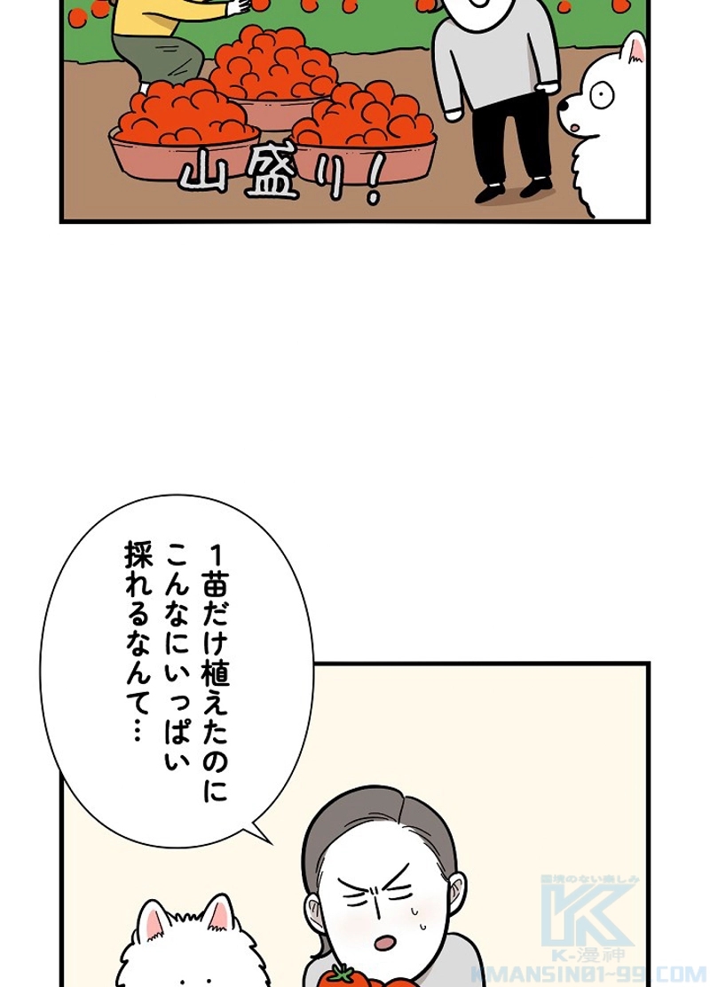 愛犬ソミとの極限ライフ 第36話 - Page 55