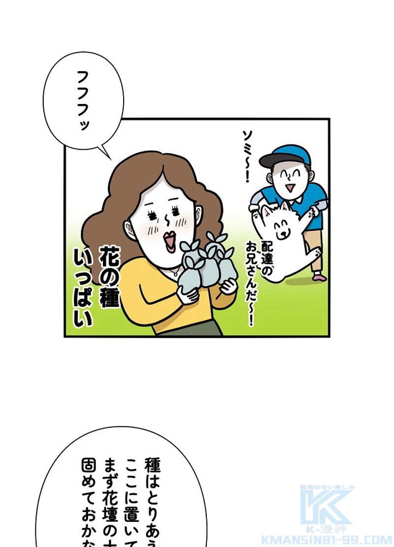 愛犬ソミとの極限ライフ 第36話 - Page 4