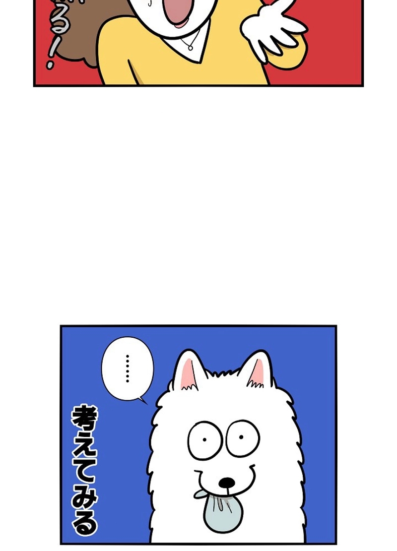 愛犬ソミとの極限ライフ 第36話 - Page 11