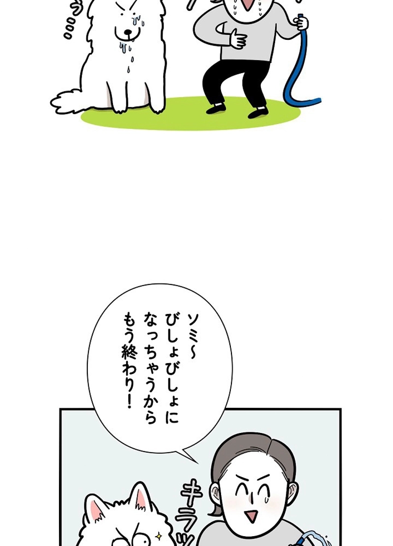 愛犬ソミとの極限ライフ 第36話 - Page 35