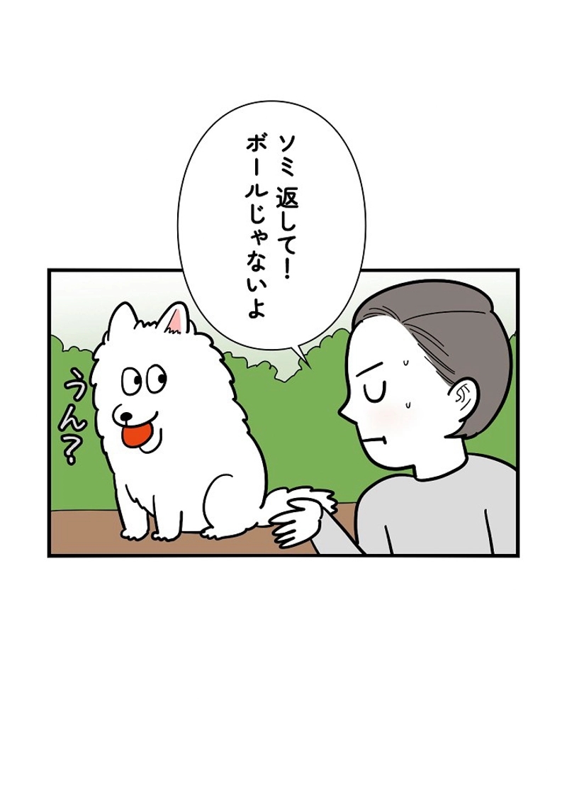 愛犬ソミとの極限ライフ 第36話 - Page 51