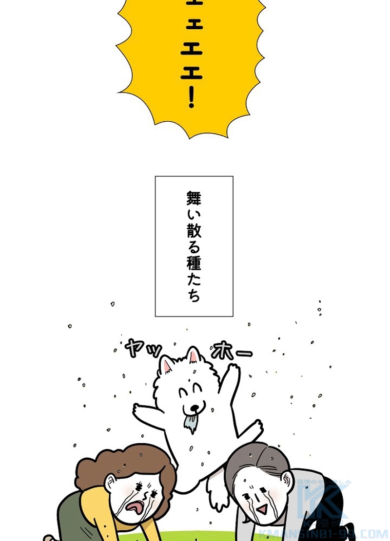 愛犬ソミとの極限ライフ 第36話 - Page 19