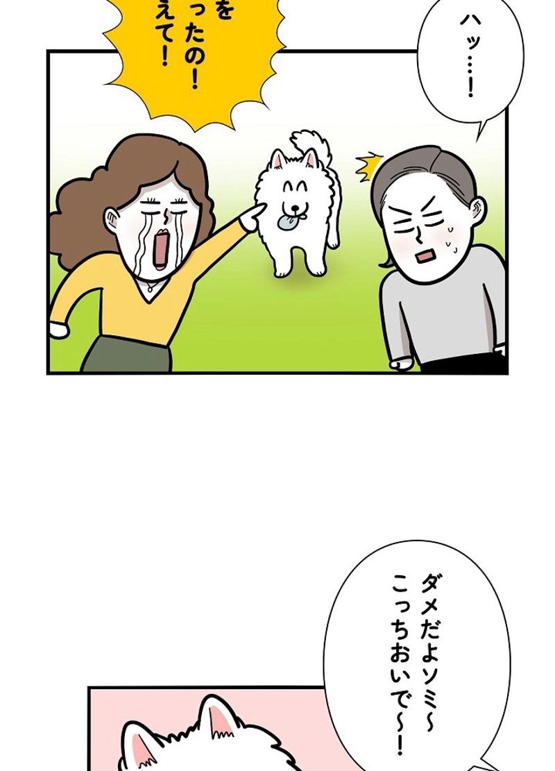 愛犬ソミとの極限ライフ 第36話 - Page 14
