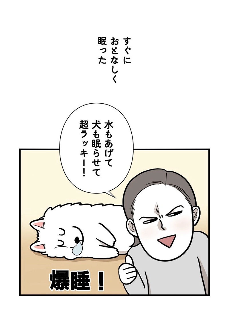 愛犬ソミとの極限ライフ 第36話 - Page 45