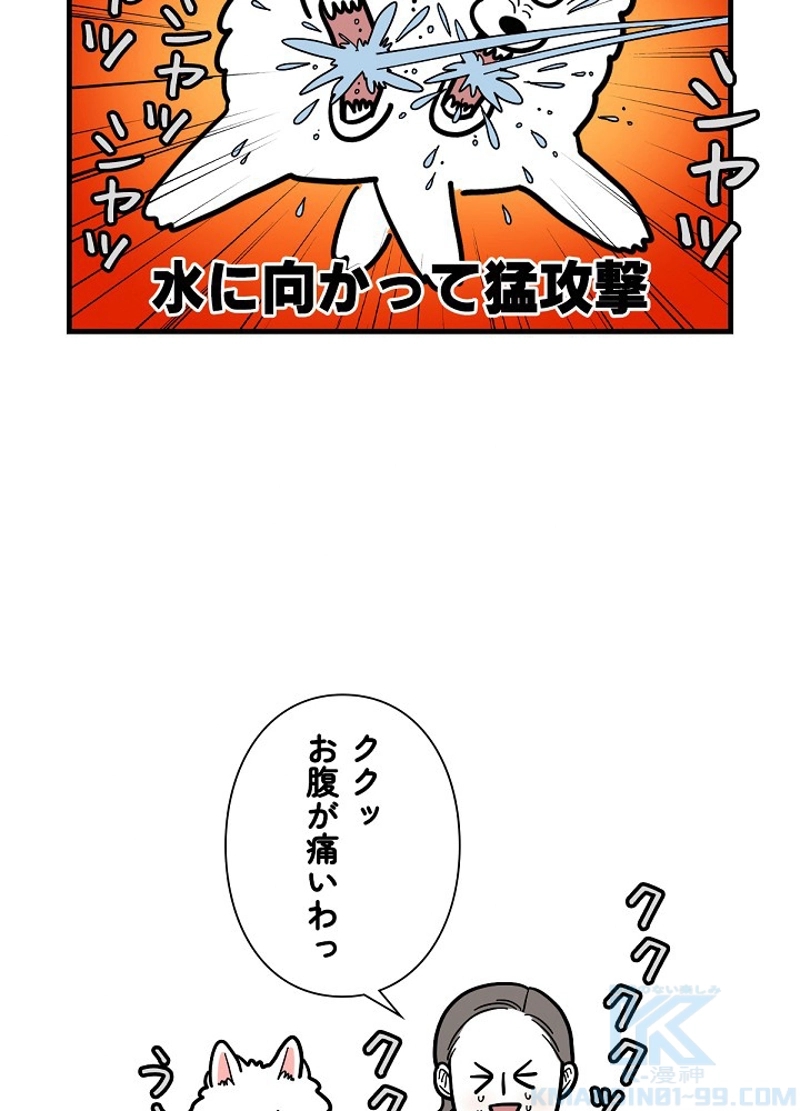 愛犬ソミとの極限ライフ 第36話 - Page 34
