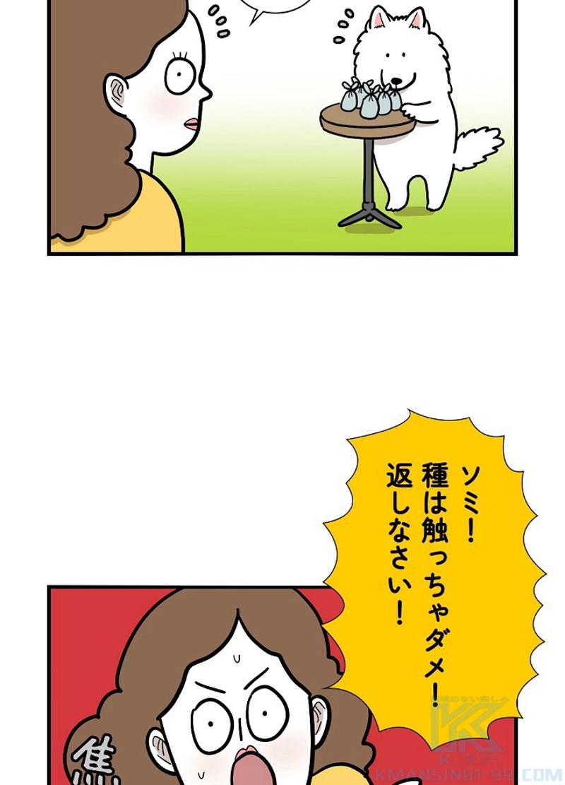 愛犬ソミとの極限ライフ 第36話 - Page 10