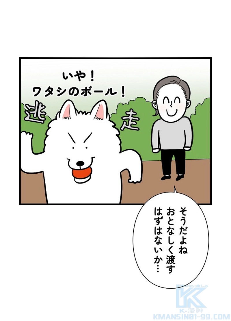 愛犬ソミとの極限ライフ 第36話 - Page 52