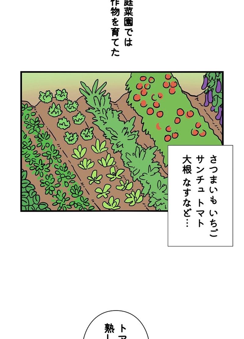 愛犬ソミとの極限ライフ 第36話 - Page 47