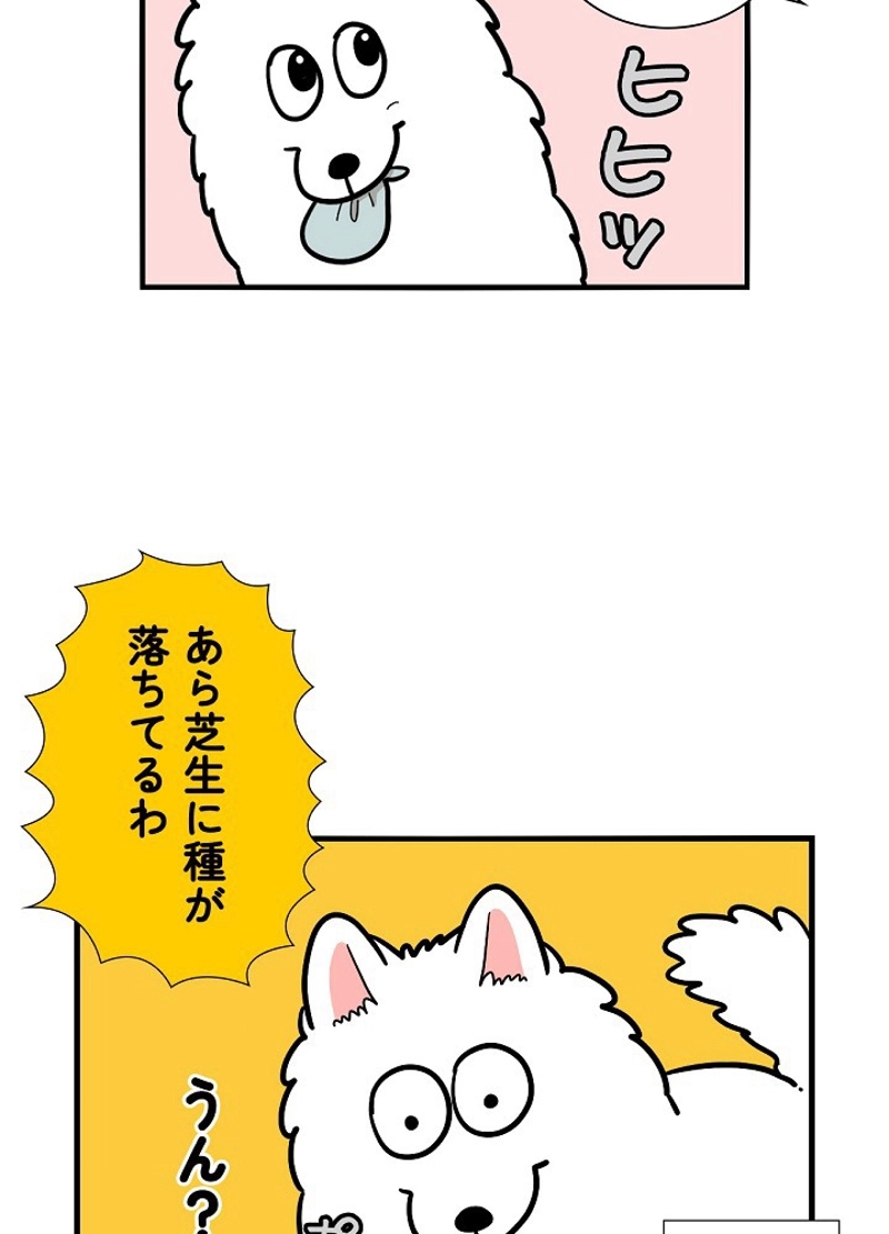 愛犬ソミとの極限ライフ 第36話 - Page 15