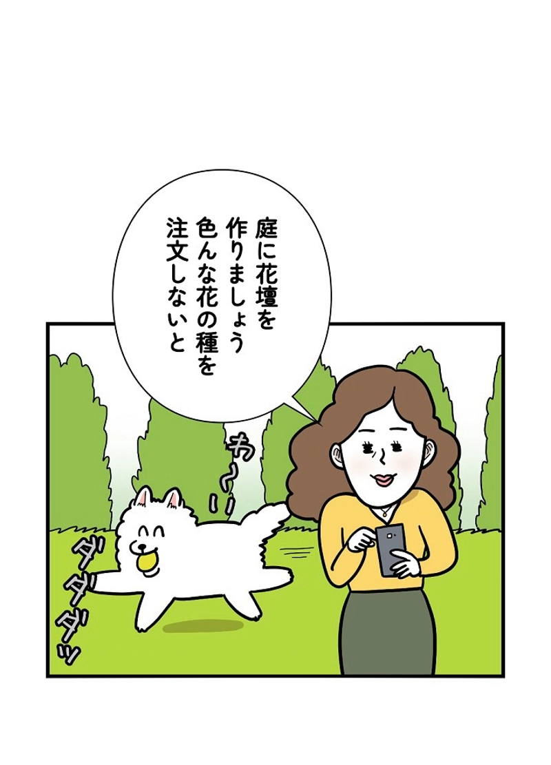 愛犬ソミとの極限ライフ 第36話 - Page 2