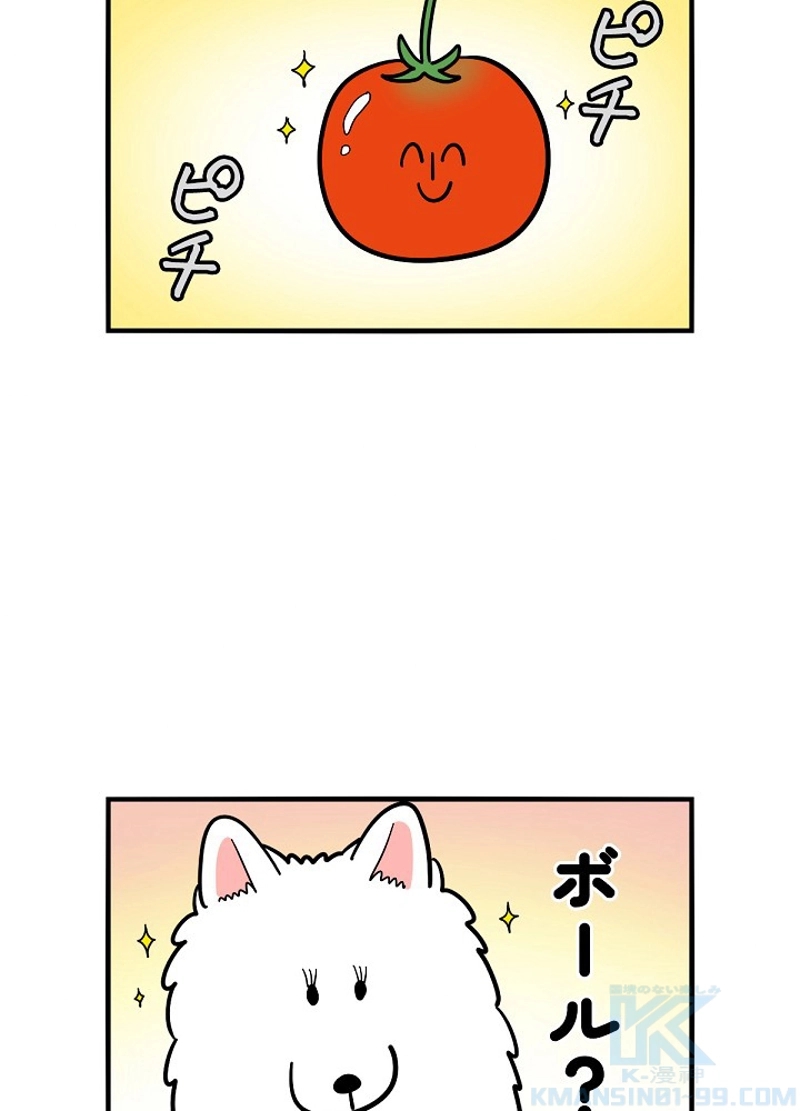 愛犬ソミとの極限ライフ 第36話 - Page 49
