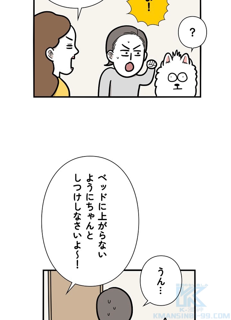 愛犬ソミとの極限ライフ 第38話 - Page 46
