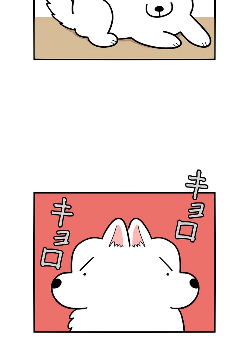 愛犬ソミとの極限ライフ 第38話 - Page 6