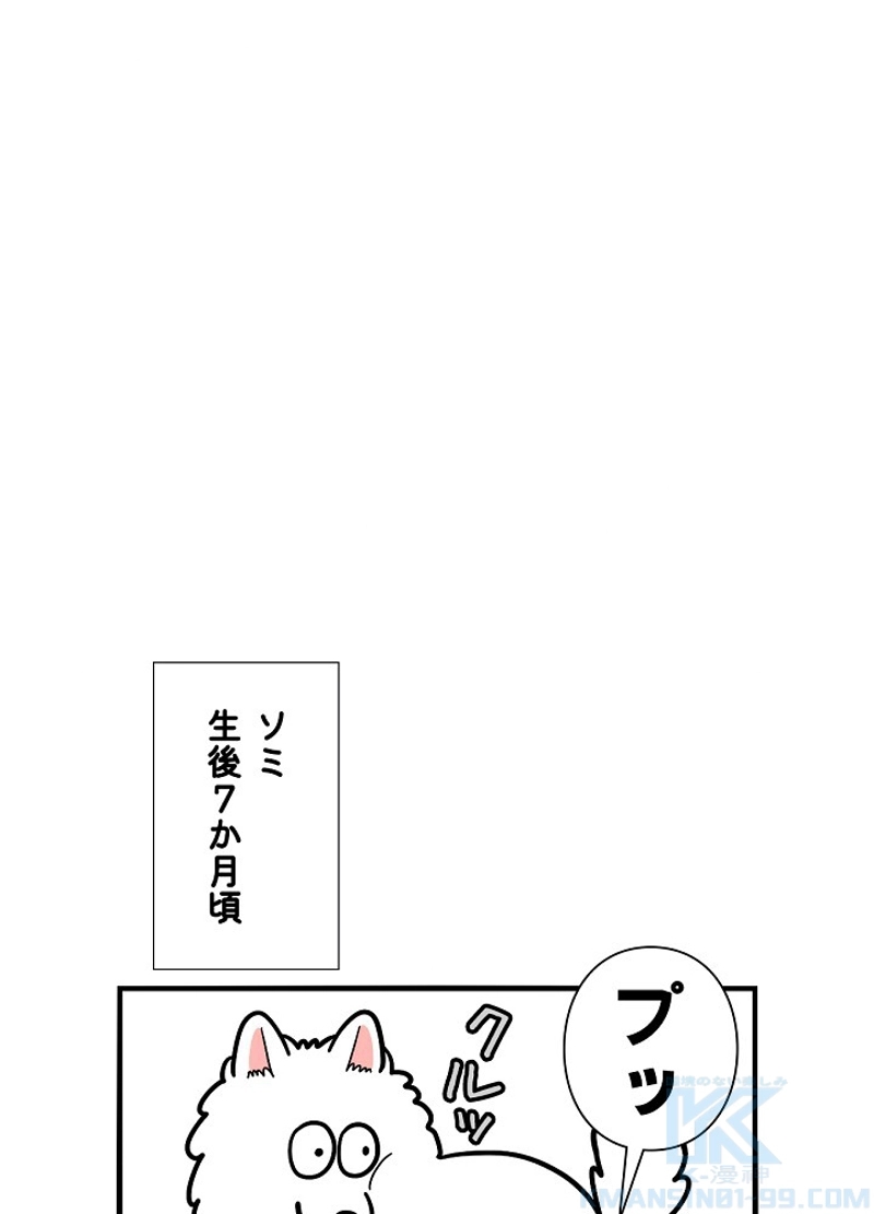 愛犬ソミとの極限ライフ 第38話 - Page 10