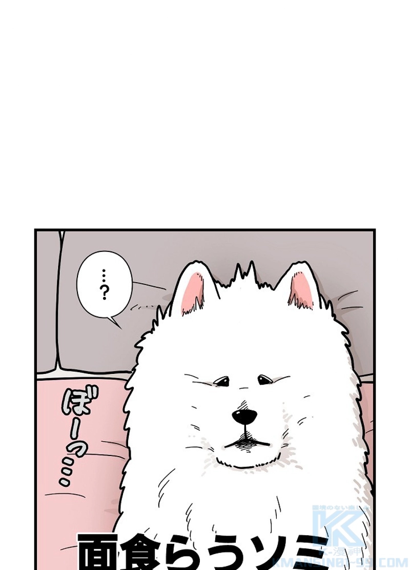 愛犬ソミとの極限ライフ 第38話 - Page 49