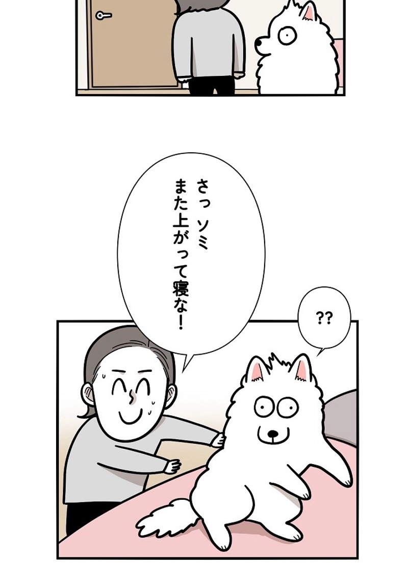 愛犬ソミとの極限ライフ 第38話 - Page 47