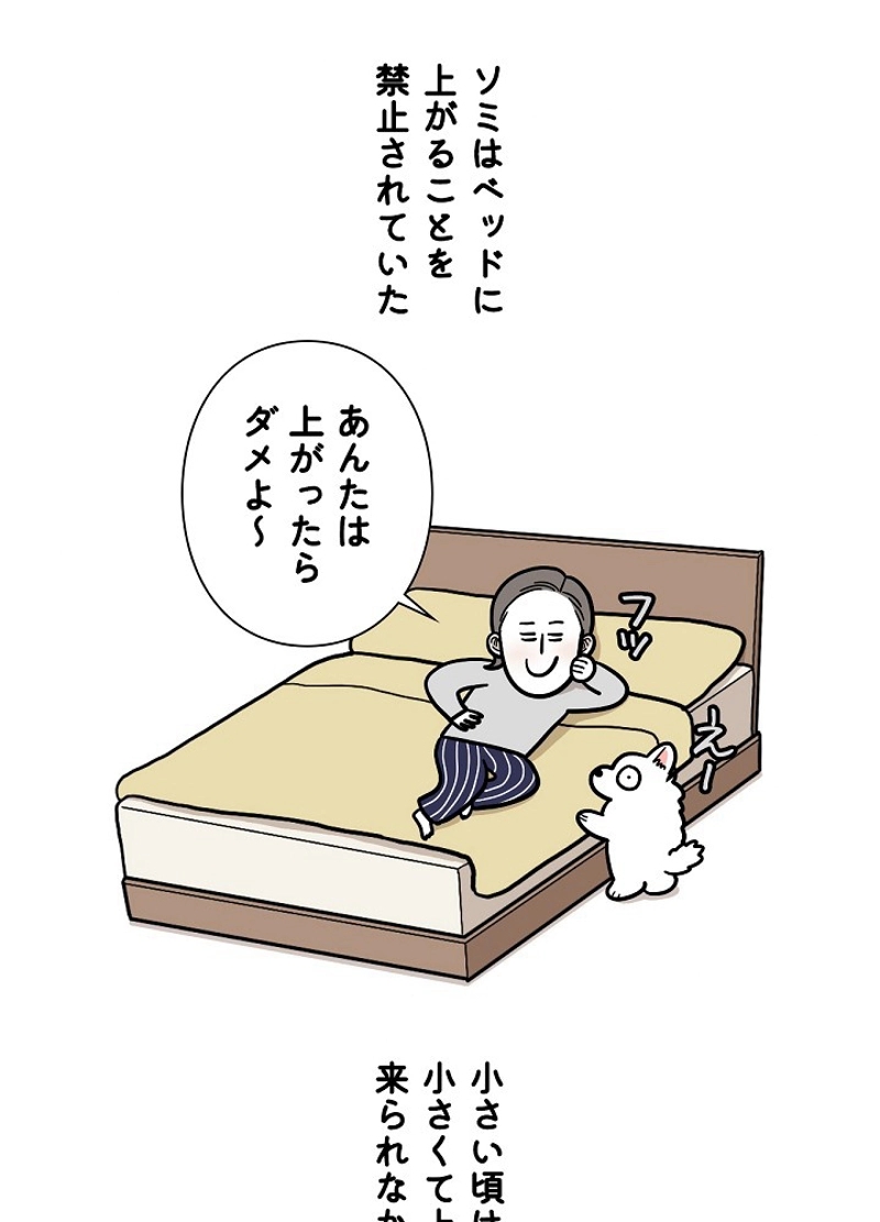 愛犬ソミとの極限ライフ 第38話 - Page 29