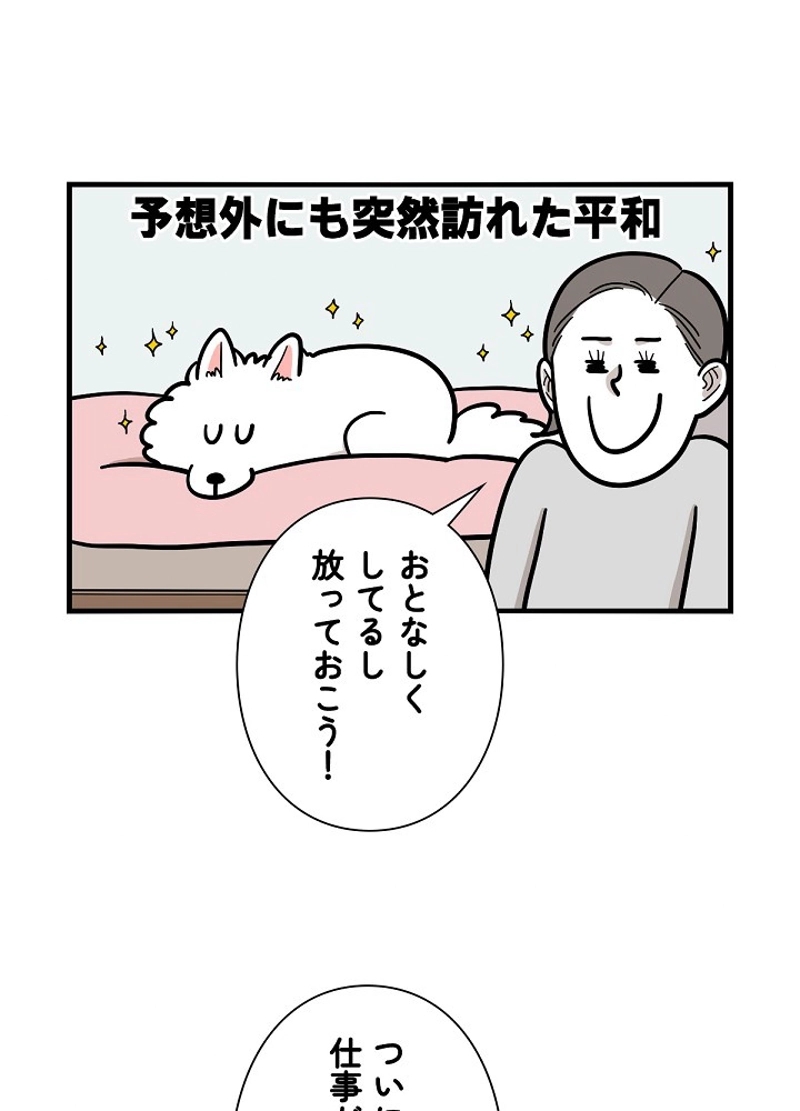 愛犬ソミとの極限ライフ 第38話 - Page 42