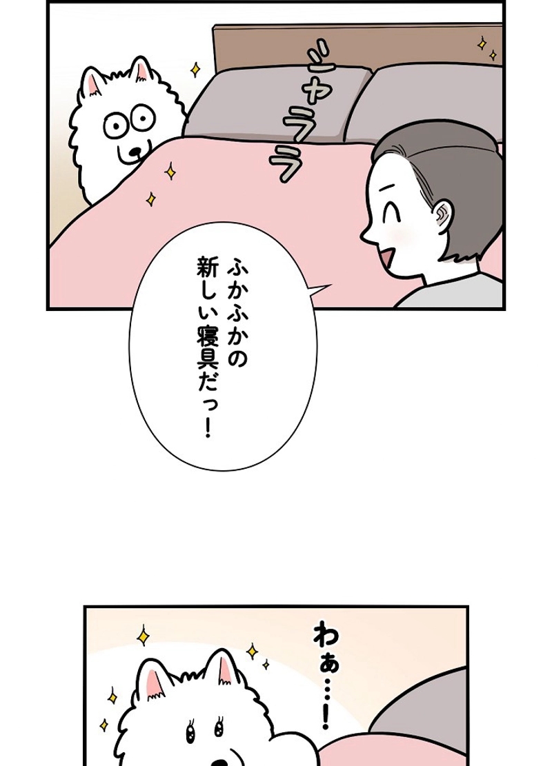 愛犬ソミとの極限ライフ 第38話 - Page 36