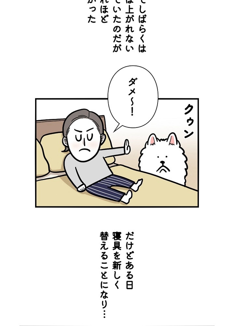 愛犬ソミとの極限ライフ 第38話 - Page 35