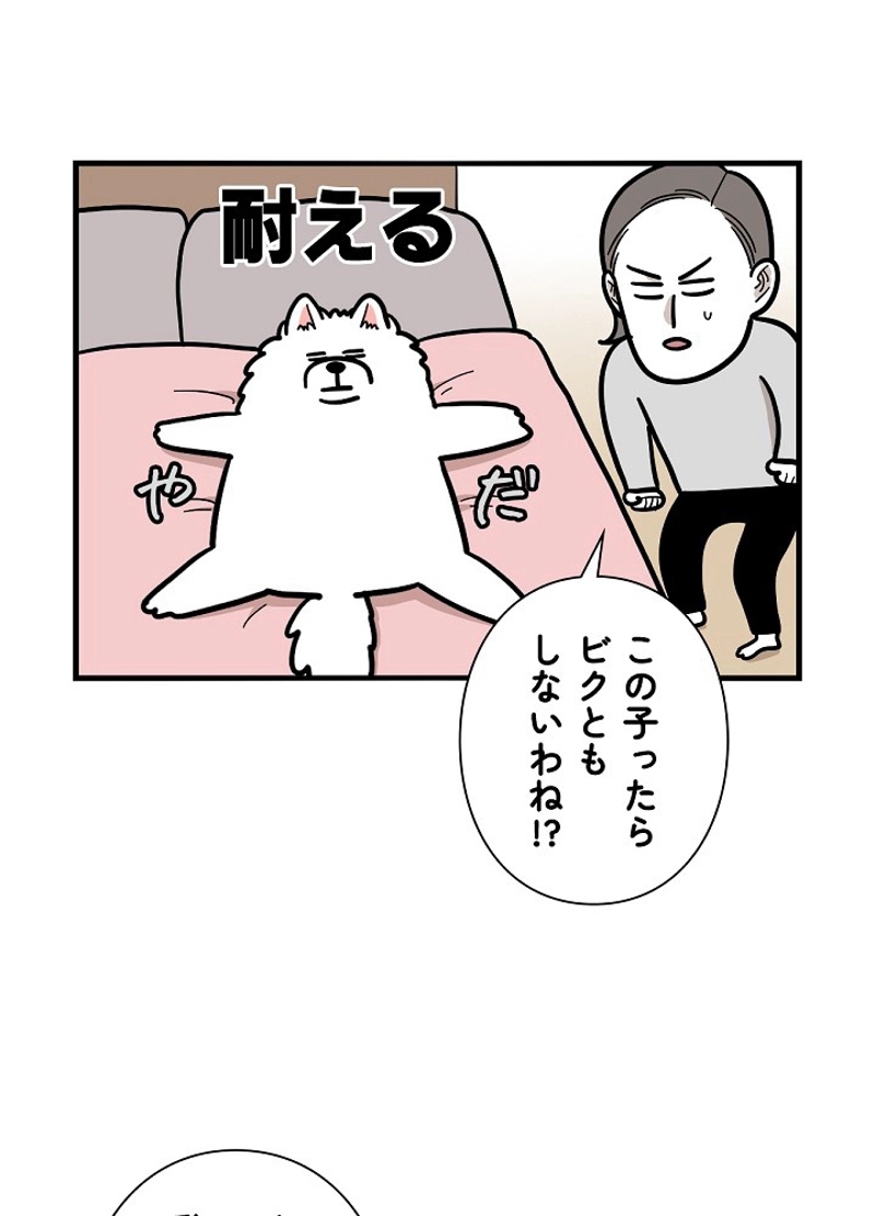 愛犬ソミとの極限ライフ 第38話 - Page 39