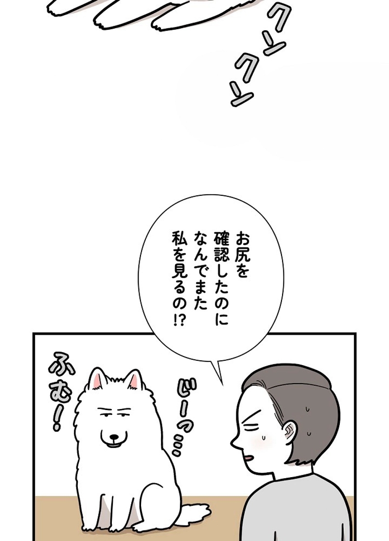 愛犬ソミとの極限ライフ 第38話 - Page 15