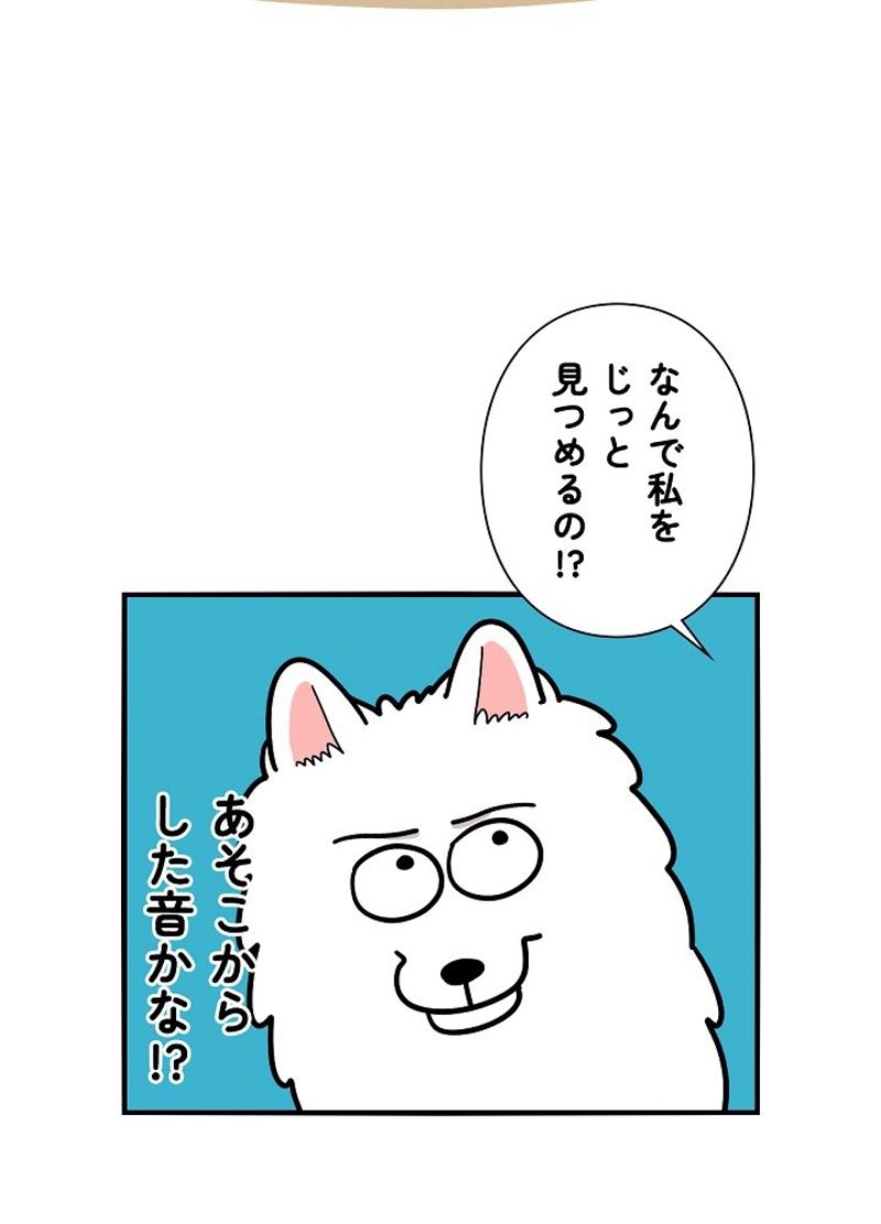 愛犬ソミとの極限ライフ 第38話 - Page 8