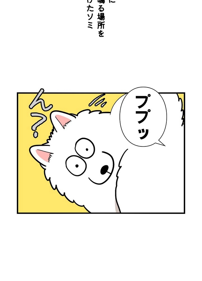 愛犬ソミとの極限ライフ 第38話 - Page 12