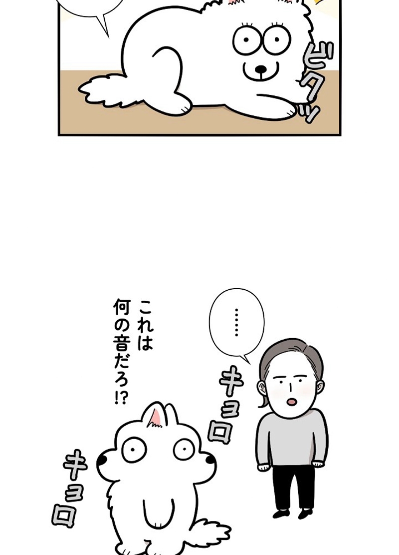 愛犬ソミとの極限ライフ 第38話 - Page 3