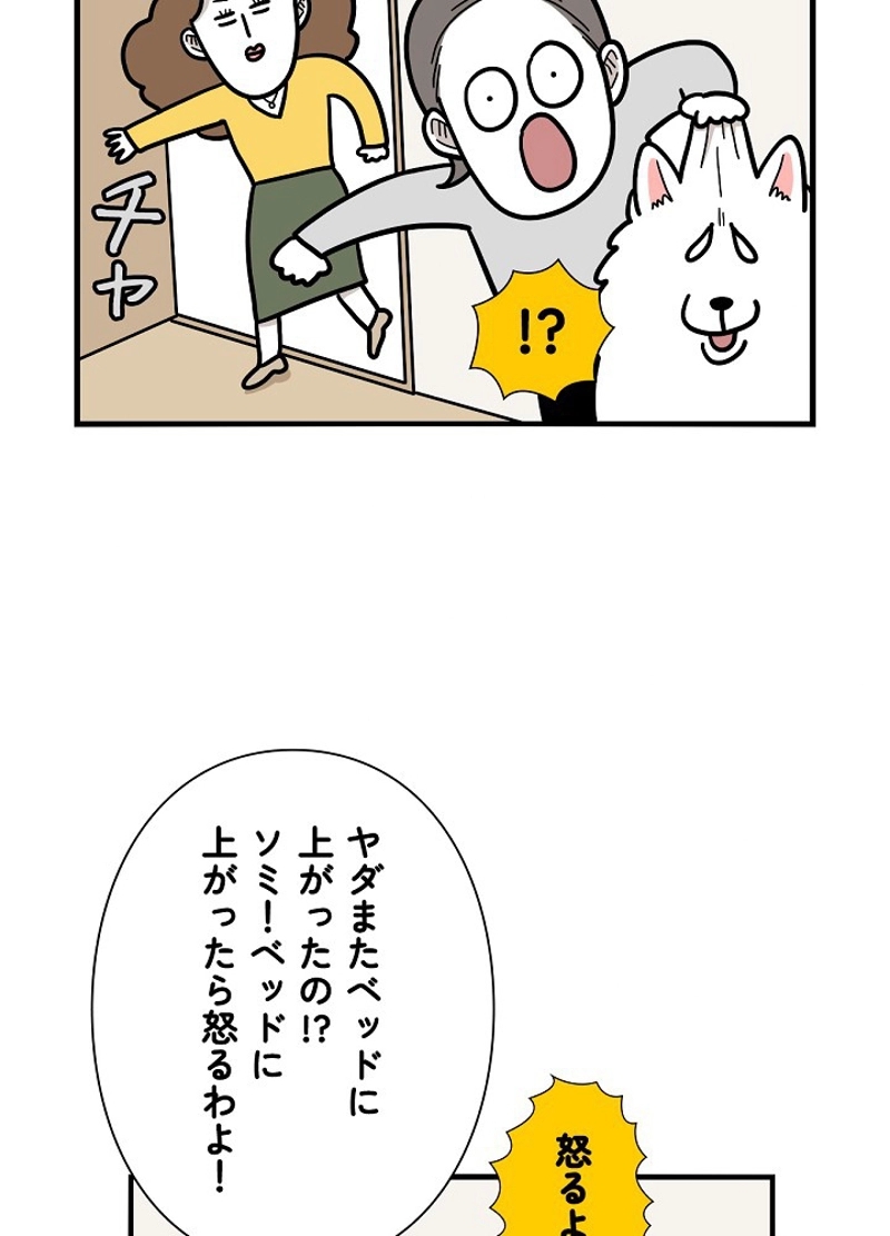 愛犬ソミとの極限ライフ 第38話 - Page 45