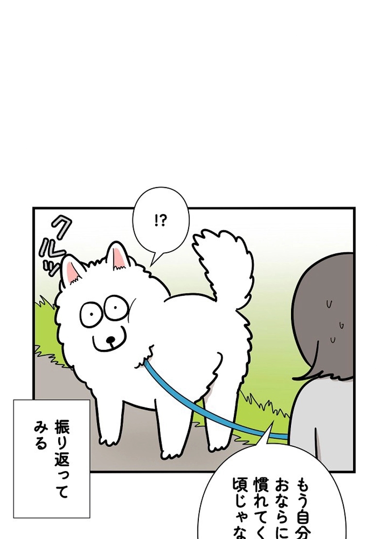 愛犬ソミとの極限ライフ 第38話 - Page 18