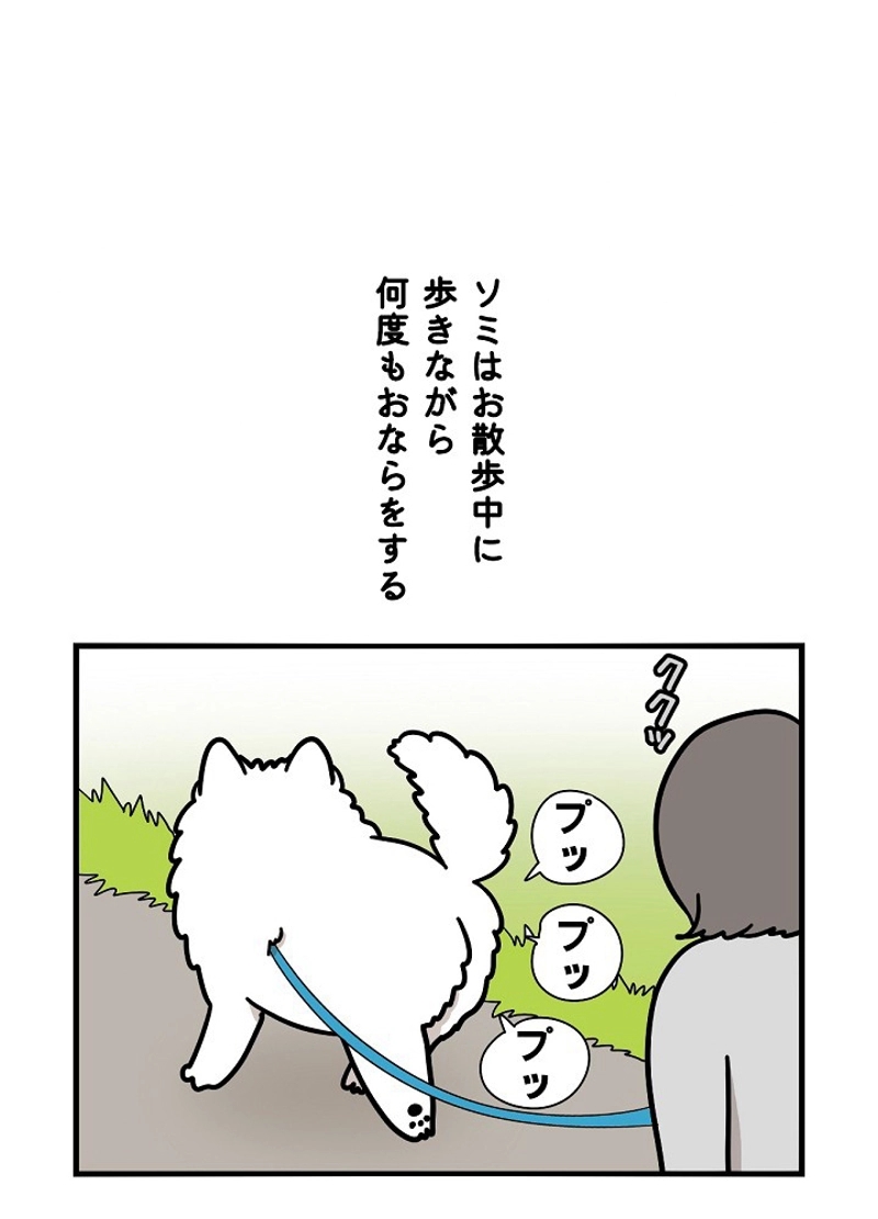 愛犬ソミとの極限ライフ 第38話 - Page 17
