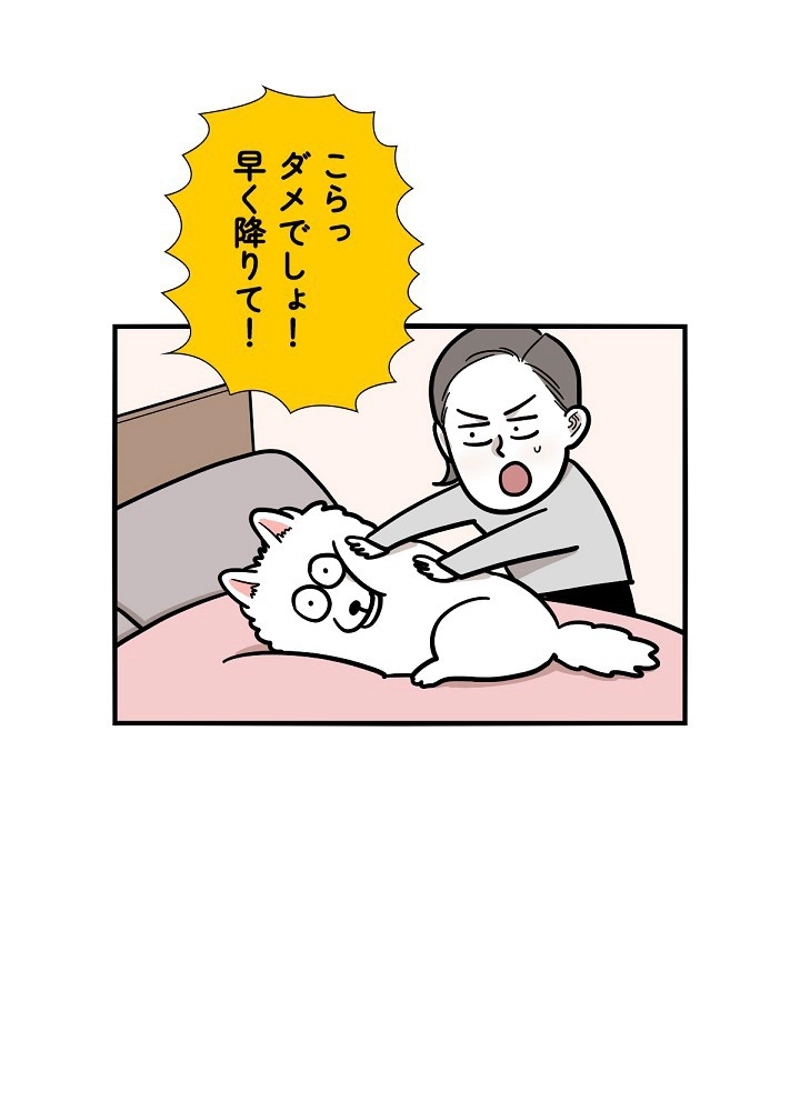 愛犬ソミとの極限ライフ 第38話 - Page 38